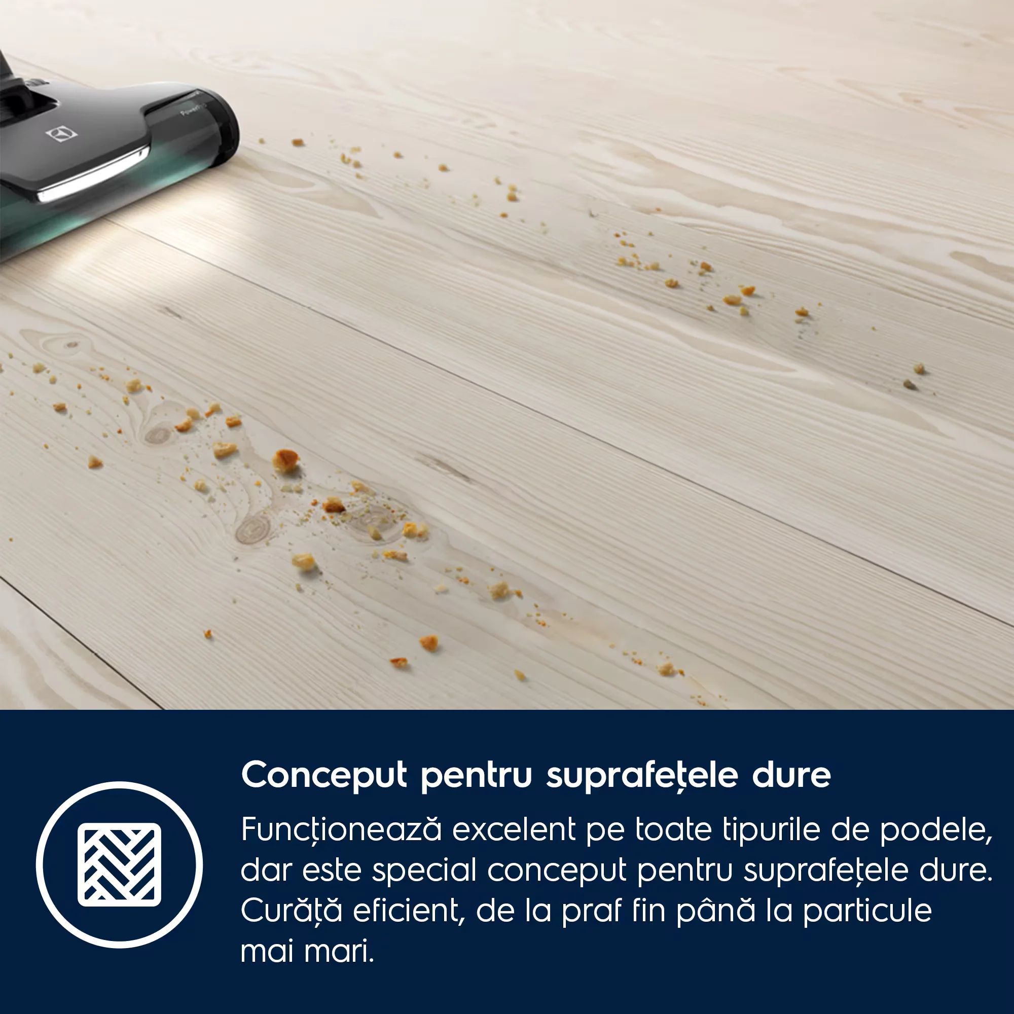 perie-rotativa-powerpro-electrolux-ze137 [3]