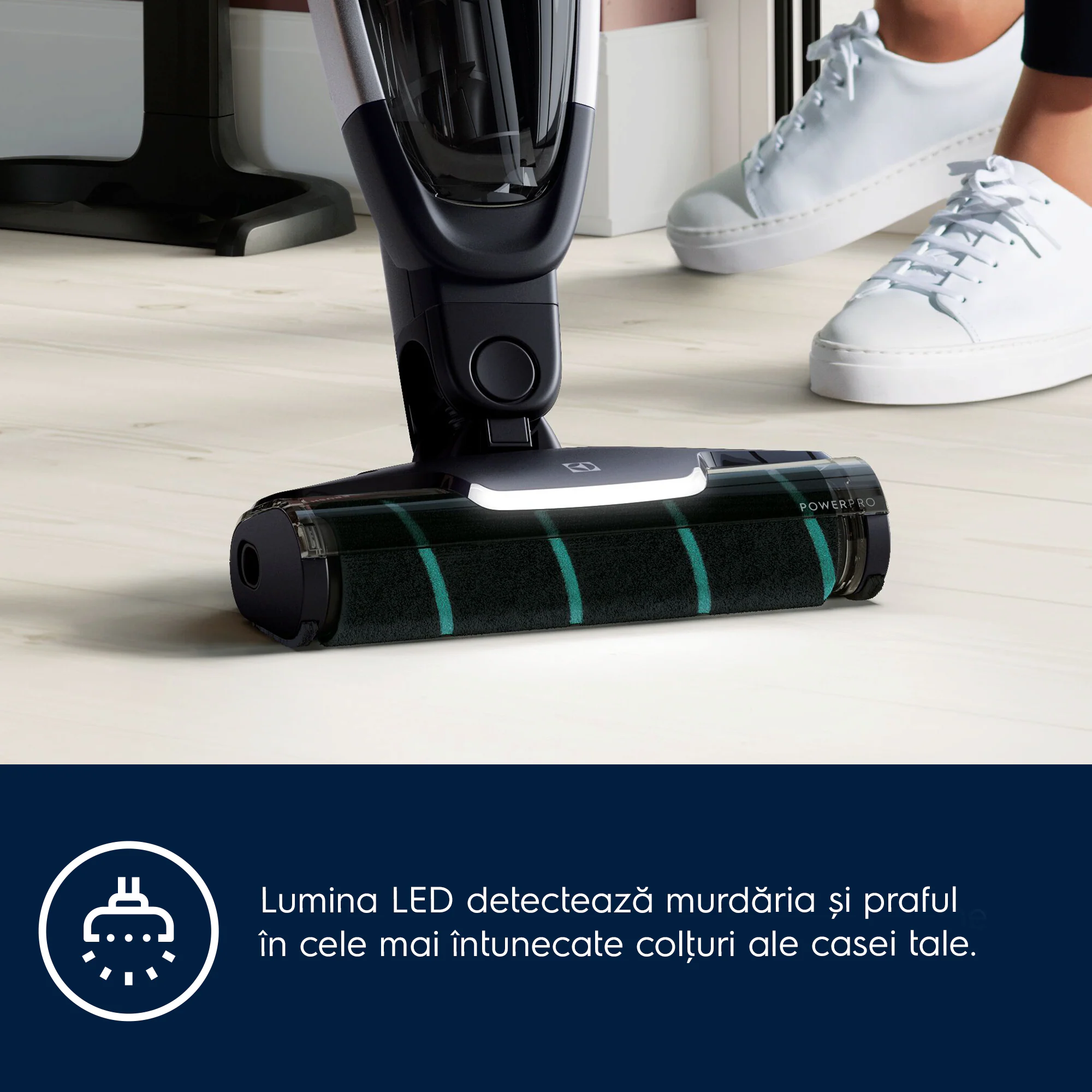 perie-rotativa-powerpro-electrolux-ze137 [2]