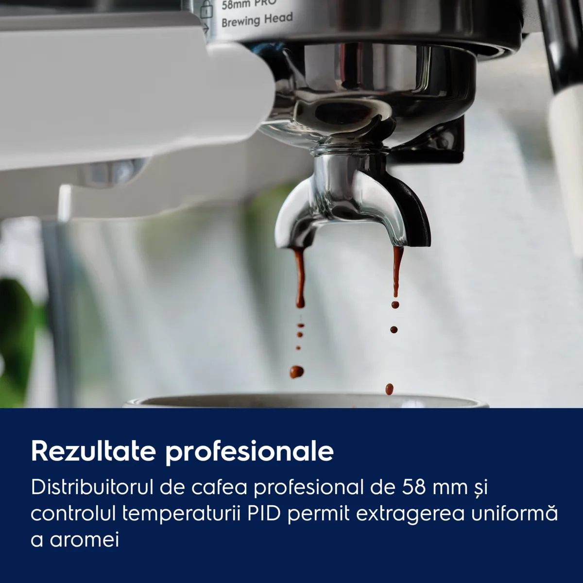 Espressor Electrolux Seria 800 E8EC1-8SW - Rasnita integrata, Dual Thermoblock, Alb scoica [8]