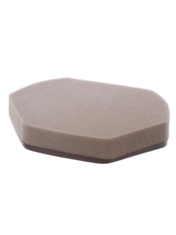 Filtru burete de protectie a motorului Bosch 00579275 pentru aspirator [2]