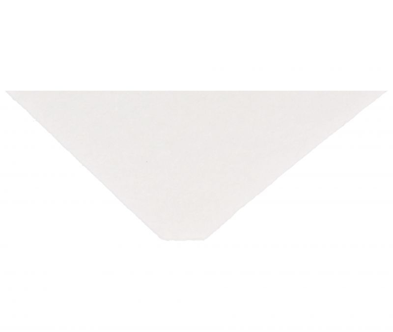 Filtru protectie motor Philips CP0137/01 pentru aspirator PowerLife [2]