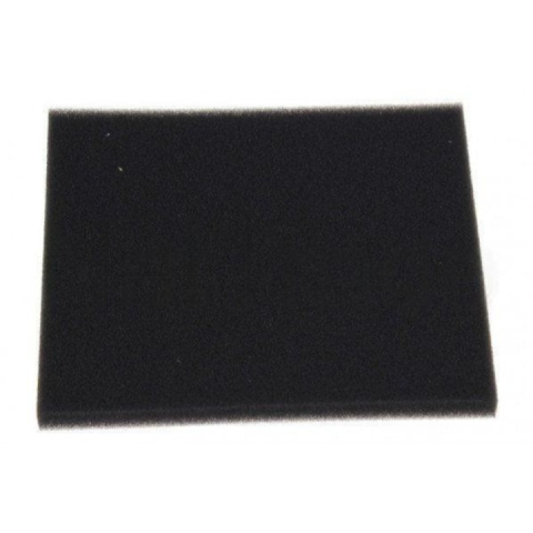 Accesorii Piese Aspiratoare - Filtru de protectie a motorului Philips CRP494/01 pentru EasyLife