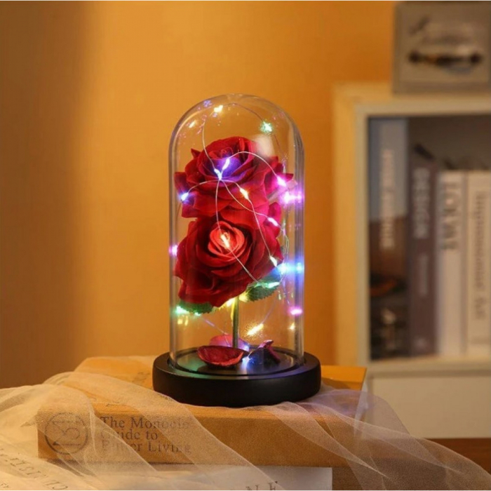 Cadou Trandafiri nemuritori cu LED [2]