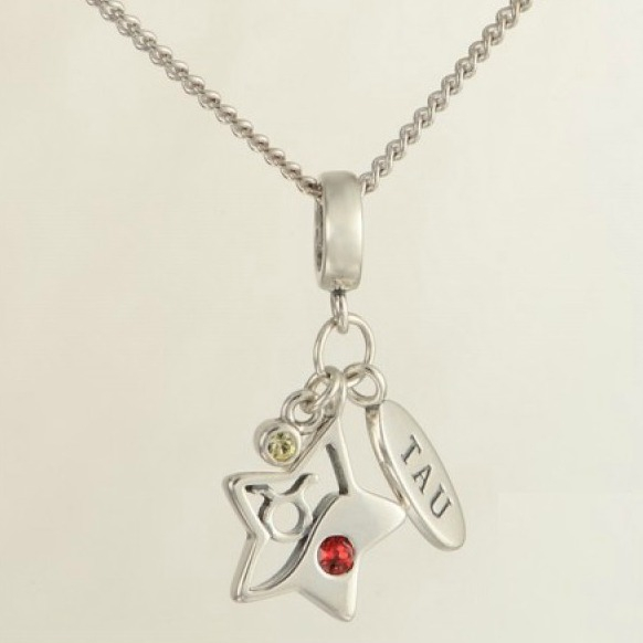 Pandantiv Taur argint [3]