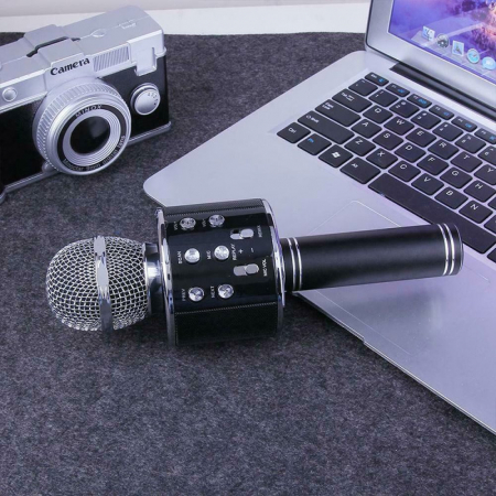 Microfon karaoke [0]