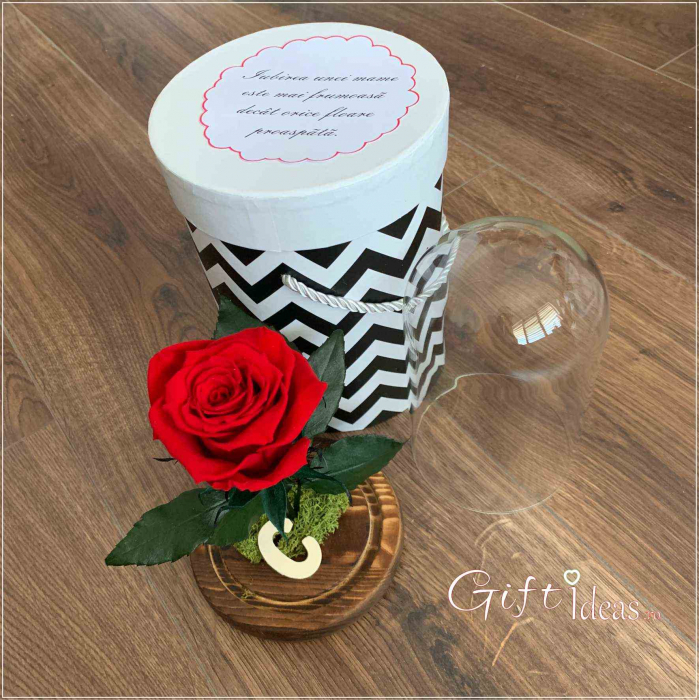 Trandafir criogenat in cupola, Forever Love [2]