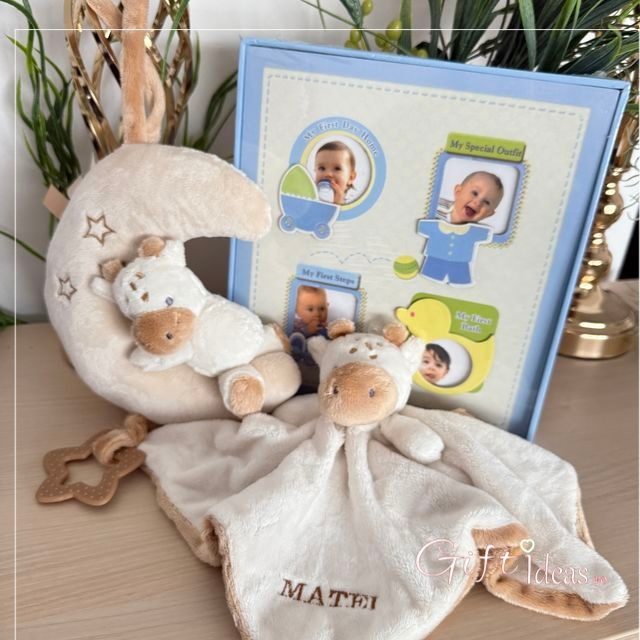 Coș cadou Girafa pentru nou-născut, personalizat [3]