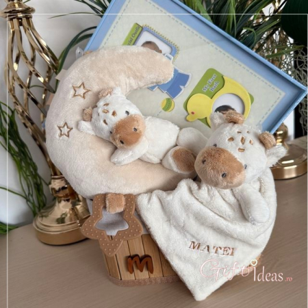 Nou nascut - Coș cadou Girafa pentru nou-născut, personalizat