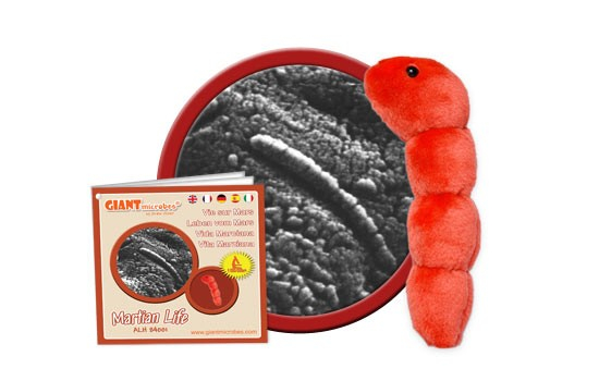 Bacterii martiene [4]
