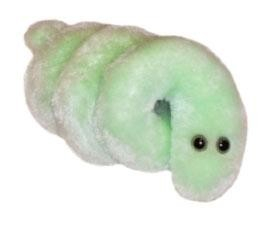 Borelioza (Boala Lyme) [2]