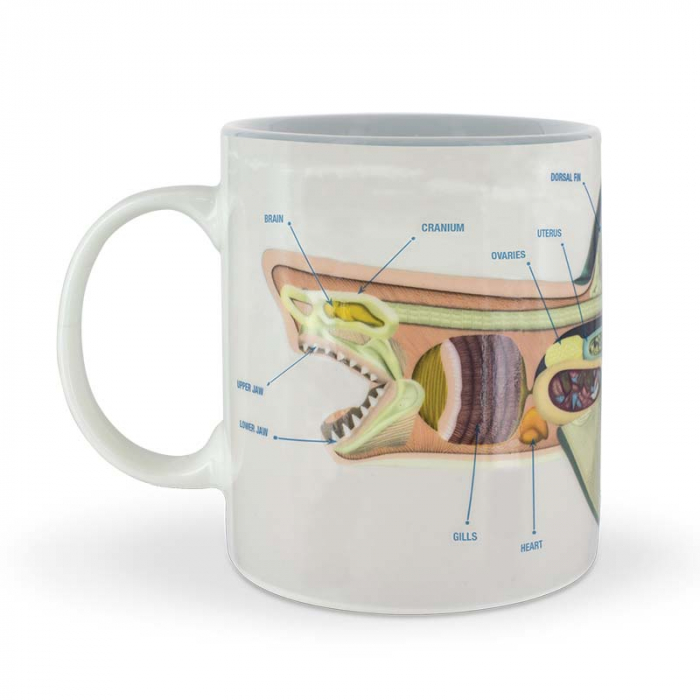 Cana termosensibila Discovery - Anatomia Rechinului [3]