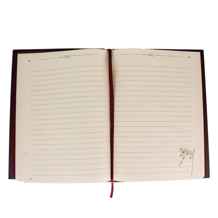 Carnetel Harry Potter [3]