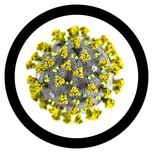 Coronavirus [3]