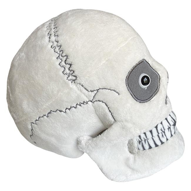 Craniu [3]