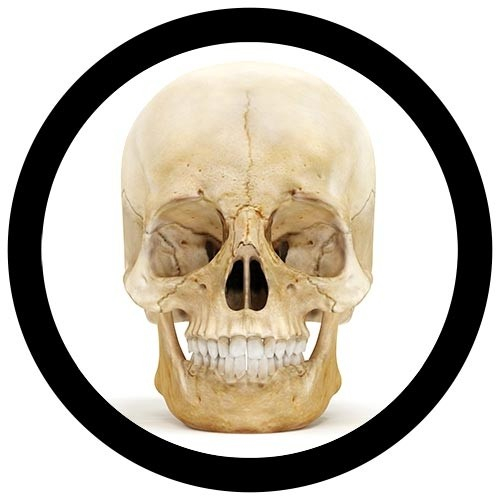 Craniu [6]