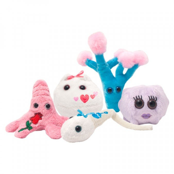 Cutie cu 5 mini-microbi varianta romantica [2]