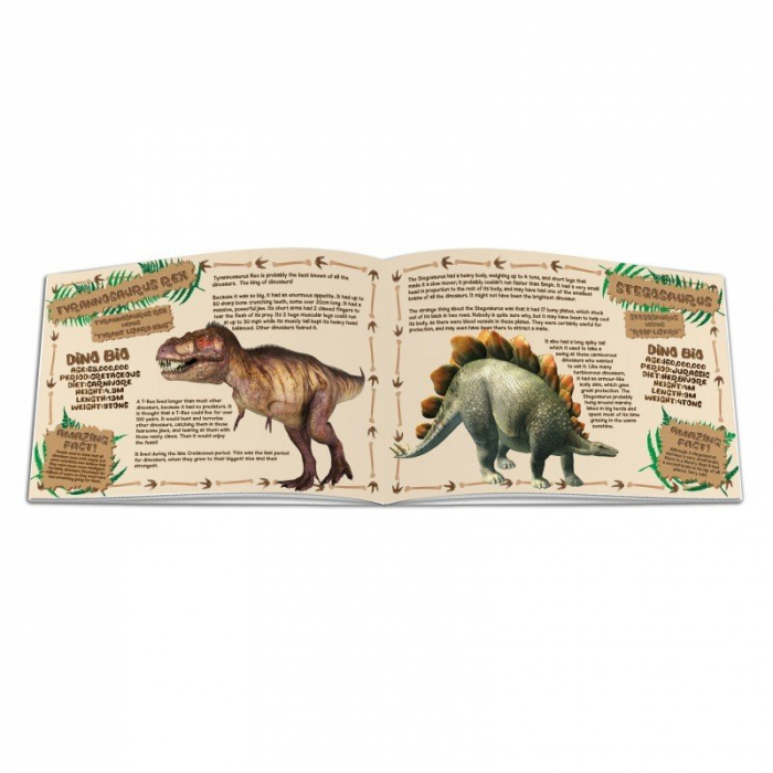 Dinosaur Construction Kit - Stegosaurus & Pterodactyl [2]