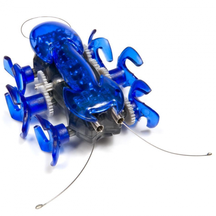 Hexbug Ant [3]