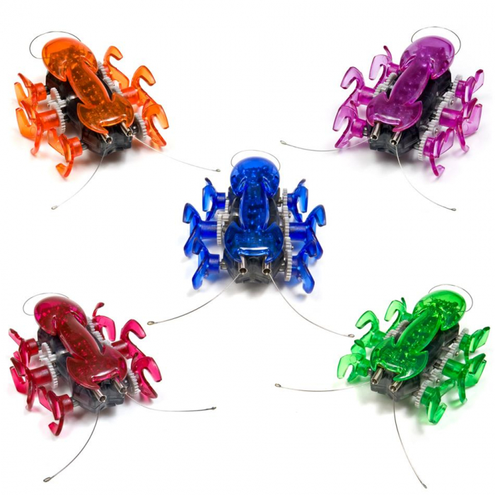 Hexbug Ant [2]