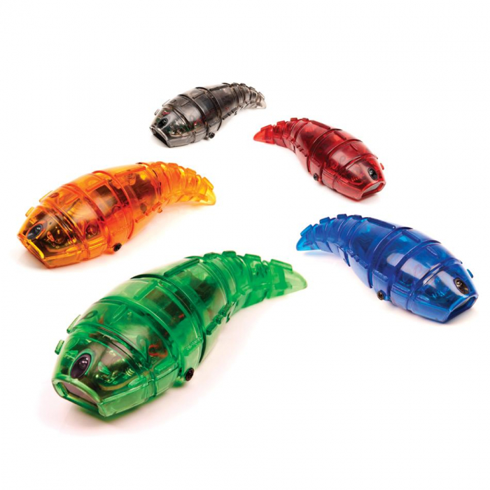 Hexbug Larva [3]