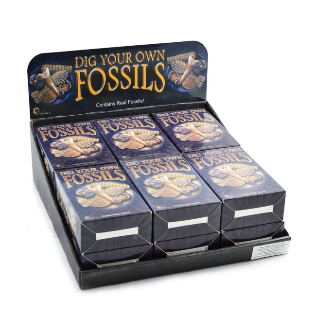 Kit paleontologie - Descopera fosile [1]