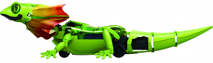 Kit robotica de constructie soparla [3]