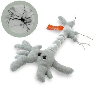 Neuronul [1]