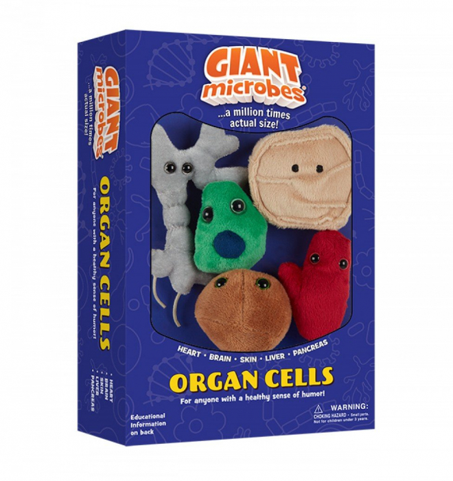 Pachet cu 5 mini-celule organice [1]