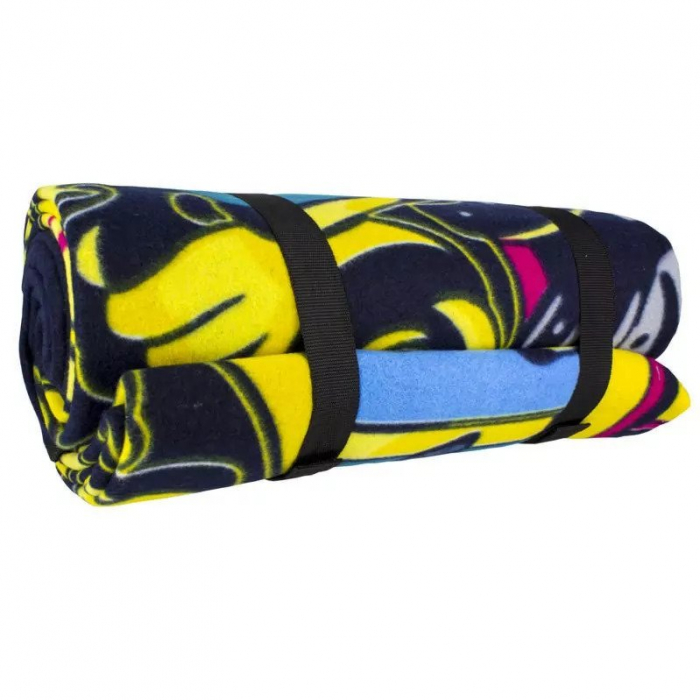 Patura de picnic Harry Potter [2]