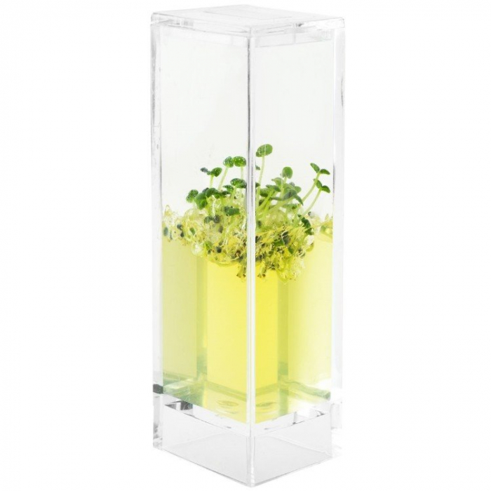 Plantarium Garden Lab [8]