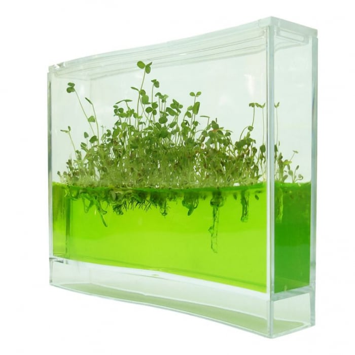 Plantarium Super [2]