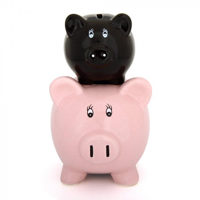 Pusculita His Money/Her Money [3]