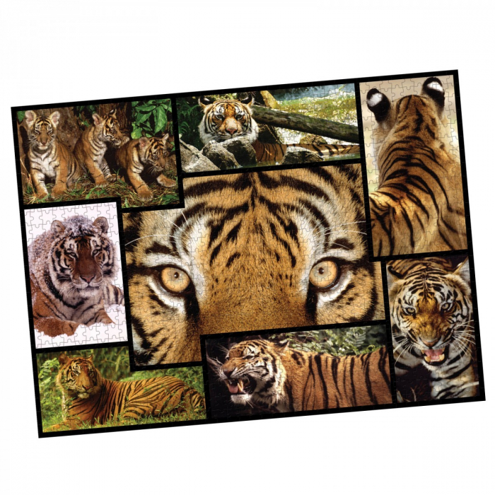 Puzzle WWF 1000 piese - Tigru [2]