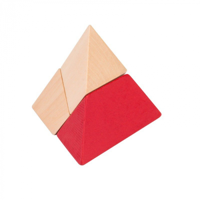 Puzzling Professors 5 x Wooden Set [6]