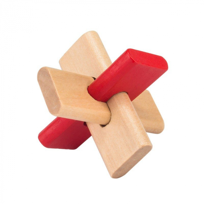 Puzzling Professors 5 x Wooden Set [2]