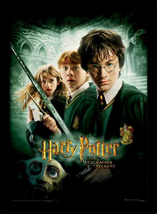 Tablou Harry Potter - Camera Secretelor [1]