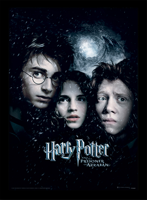 Tablou Harry Potter - Prizonierul din Azkaban [1]