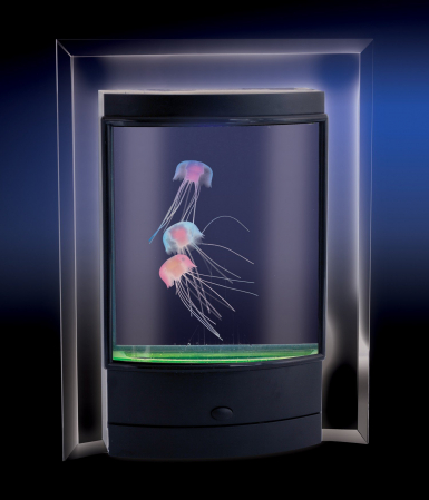 All Products - Acvariu cu meduze