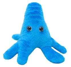 Amoeba albastra [1]