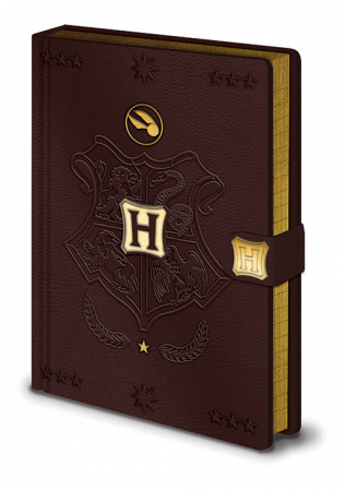 Branduri - Carnetel premium Harry Potter - Quidditch