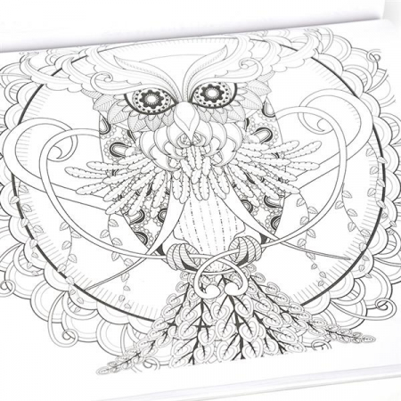 All Products - Carte de colorat