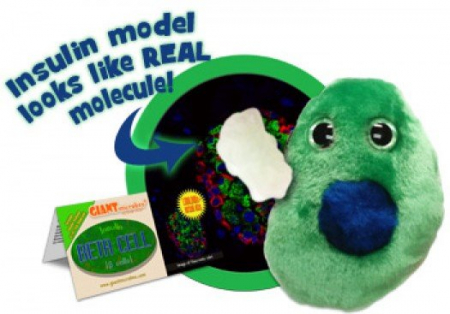 Microbi din plus - Celula Beta (Diabet - Insulina)