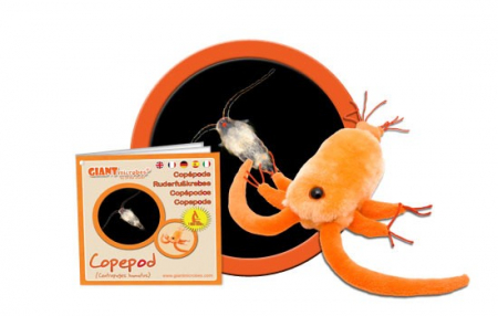 Copepod [2]