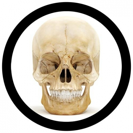 Craniu [5]