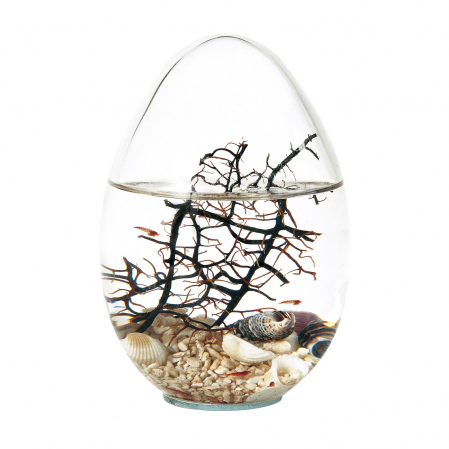 Din stoc: Beachworld Egg - Inaltime 13 cm [1]