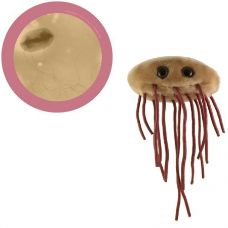 Cadouri stiintifice - E. coli