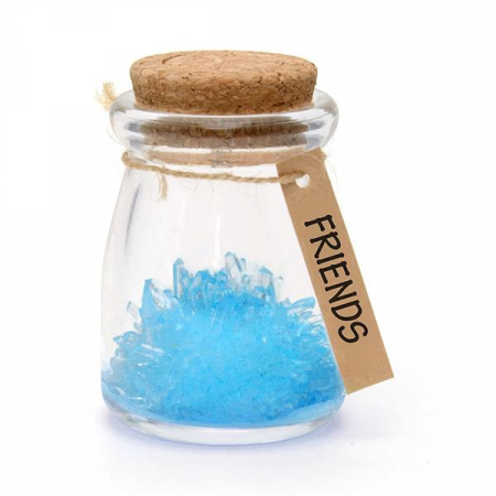Idei de cadouri pentru Femei - Floare din cristale albastre - Friends