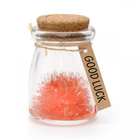 Idei de cadouri pentru Femei - Floare din cristale rosii - Good luck