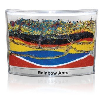 All Products - Habitat pentru furnici cu nisip colorat