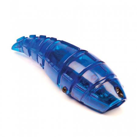 Hexbug Larva [1]